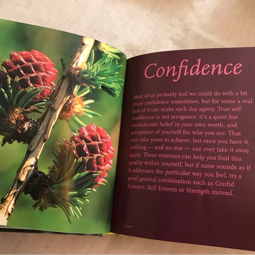 Heal Yourself With Flowers Book - Picture 4 of 7